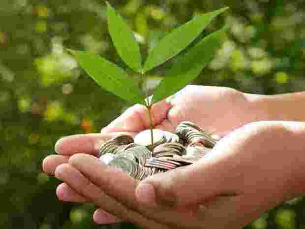forex-risk-and-the-future-of-indias-green-financing