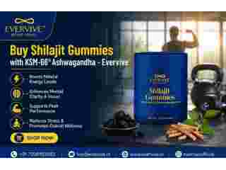buy-shilajit-gummies-with-ksm-66-ashwagandha-evervive-small-0