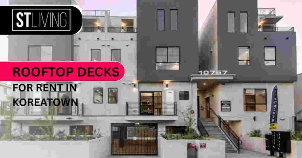 luxury-rooftop-decks-for-rent-in-koreatown-with-modern-amenities-big-0