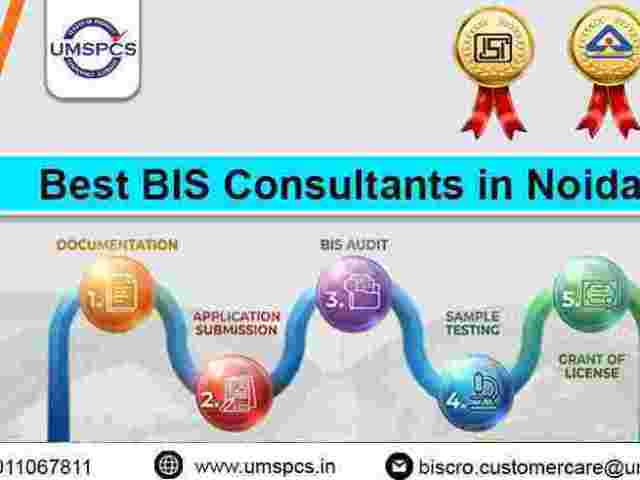 why-do-manufacturers-prefer-top-bis-consultants-in-noida