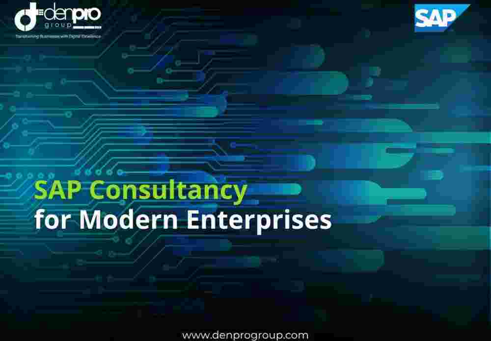 sap-consultancy-in-india-denpro-technologies-big-0