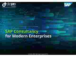 sap-consultancy-in-india-denpro-technologies-small-0