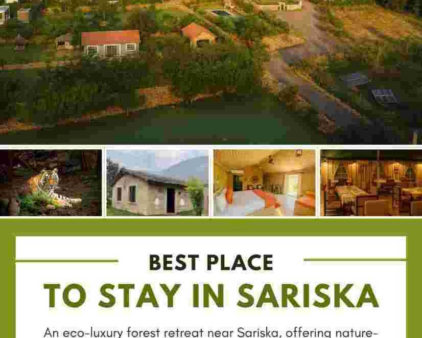 best-place-to-stay-in-sariska-experience-luxury-at-chokhiwadi