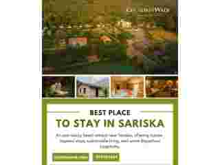 best-place-to-stay-in-sariska-experience-luxury-at-chokhiwadi-small-0