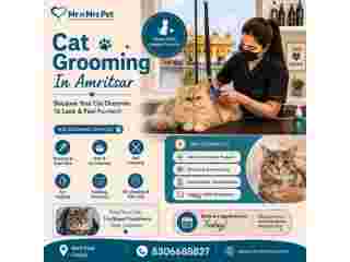 cat-grooming-in-amritsar-small-0