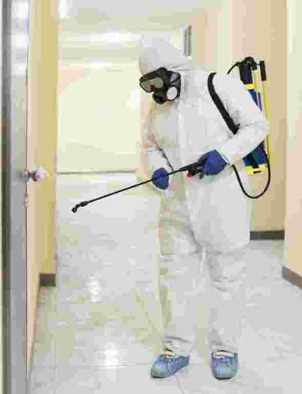pest-control-services-in-uttam-nagar-big-0