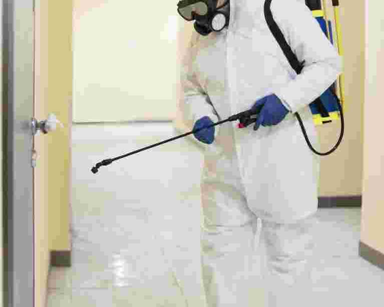 pest-control-services-in-uttam-nagar