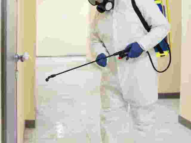 pest-control-services-in-uttam-nagar