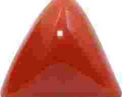 buy-red-coral-online-rashi-ratan-bhagya