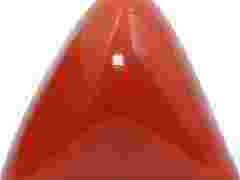 buy-red-coral-online-rashi-ratan-bhagya