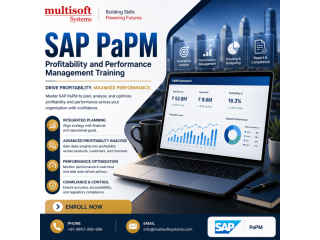 best-sap-papm-online-training-for-professionals-small-0