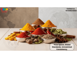 premium-spices-exporter-bulk-whole-ground-spices-small-0