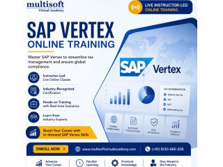 sap-vertex-online-training-certification-online-course-small-0