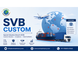 professional-svb-custom-compliance-services-exim-advisory-small-0