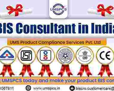 what-qualities-should-you-look-for-in-a-bis-consultant