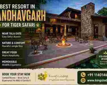 which-is-the-best-resort-in-bandhavgarh-national-park