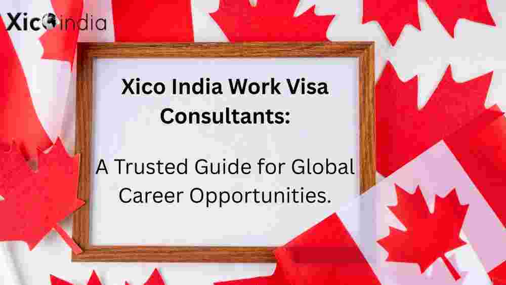 trusted-guidance-with-xico-india-overseas-consultancy-big-0
