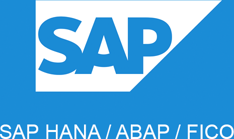 sap-fico-course-syllabus-topics-modules-learning-guide-big-0
