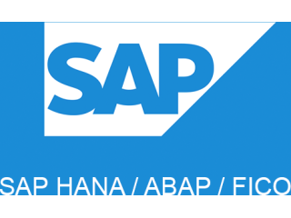 sap-fico-course-syllabus-topics-modules-learning-guide-small-0