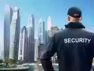 best-security-services-in-delhi-small-0