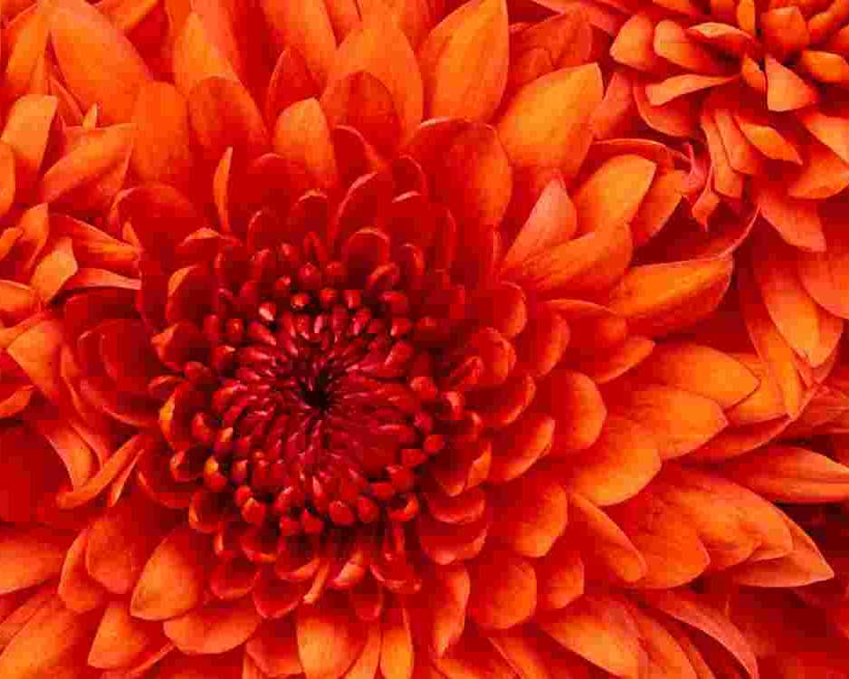 large-format-printing-in-bangalore