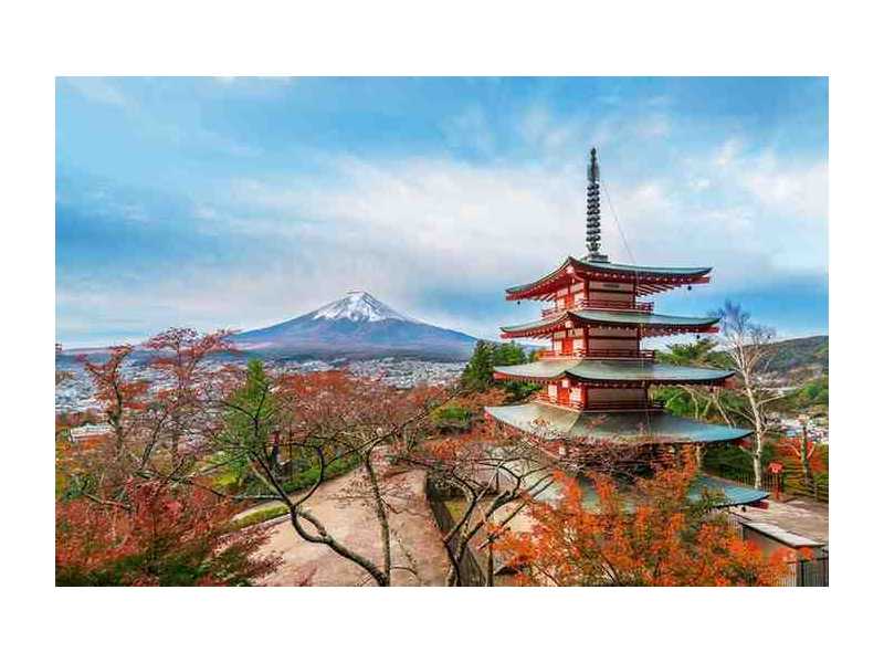 limited-availability-for-japan-tours-book-today-small-1