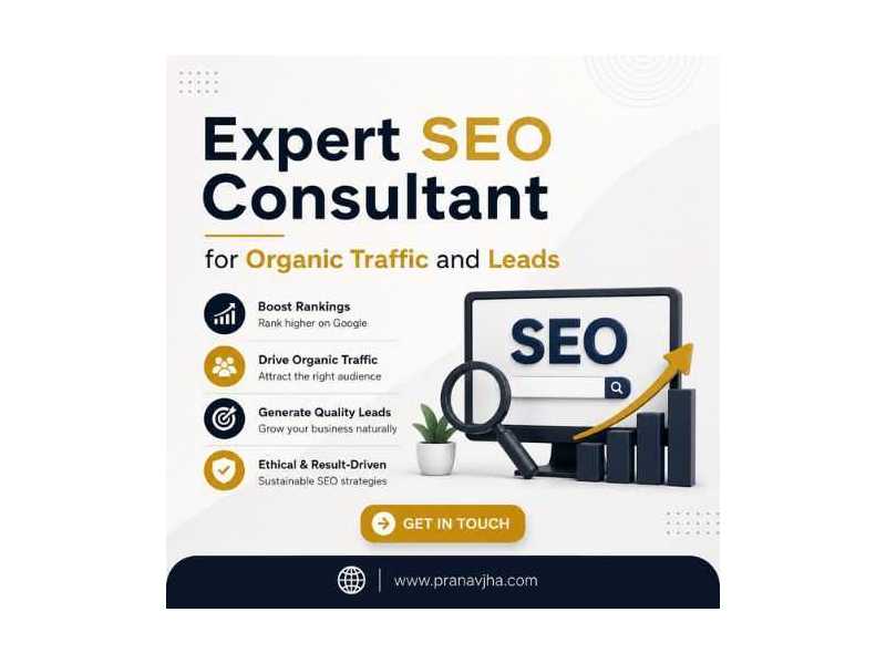 expert-seo-consultant-for-organic-traffic-and-leads-small-0