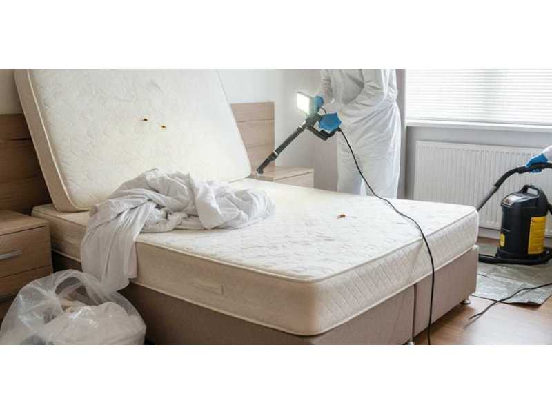 bed-bug-pest-control-in-hyderabad-bed-bug-treatment-small-0