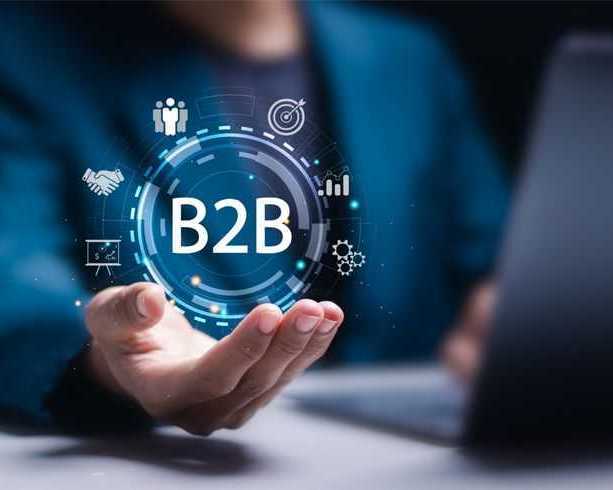 how-can-businesses-attract-buyers-with-the-best-b2b-portal-in-india