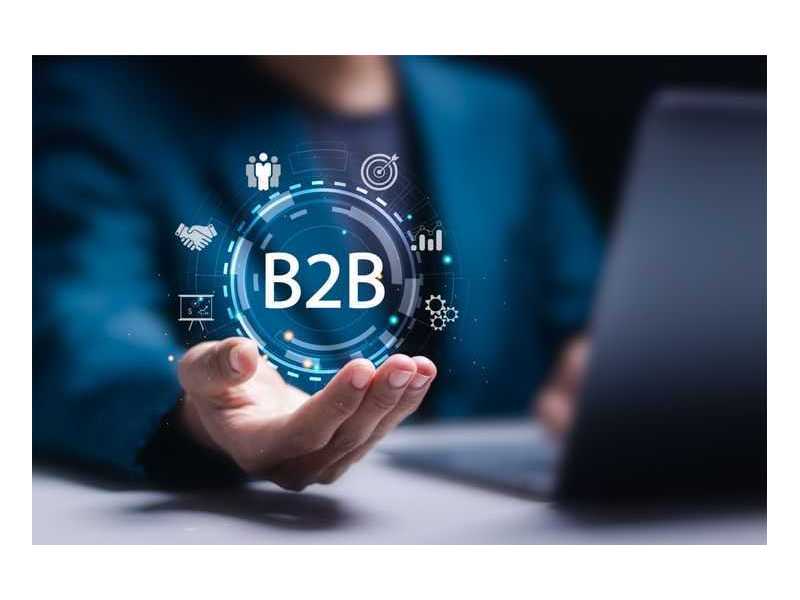how-can-businesses-attract-buyers-with-the-best-b2b-portal-in-india-small-0