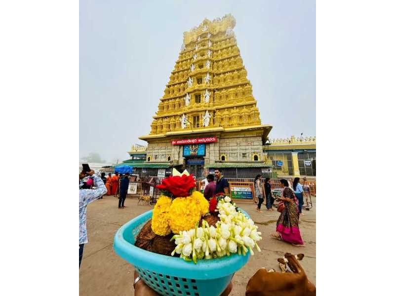 mysore-tour-packages-small-0
