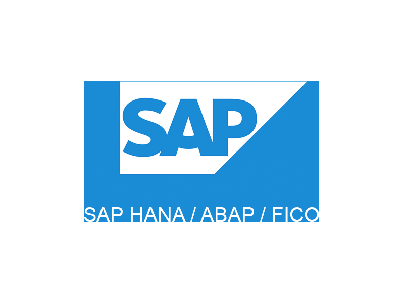 sap-fico-course-syllabus-topics-modules-training-details-small-0