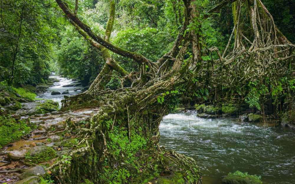 explore-the-best-tourist-destinations-in-northeast-india-big-1