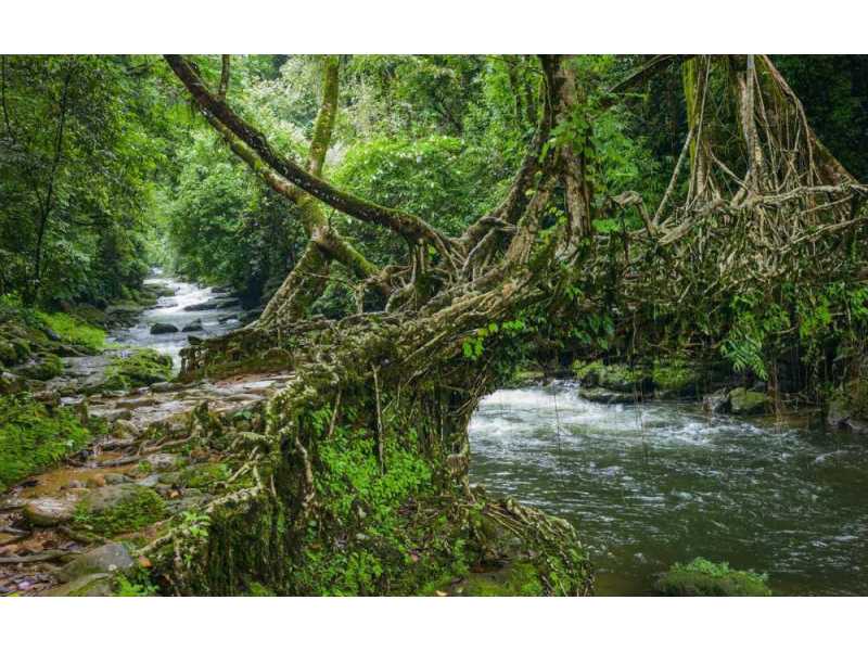 explore-the-best-tourist-destinations-in-northeast-india-small-1