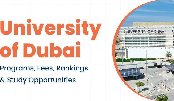 university-of-dubai-admission-statistics-big-0