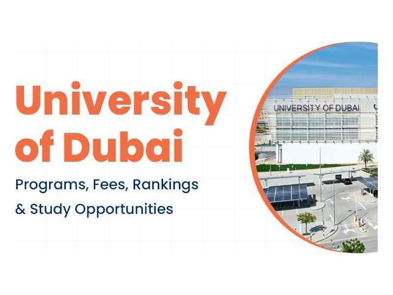 university-of-dubai-admission-statistics-small-0