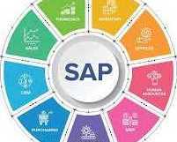 sap-fico-training-with-placement-assistance