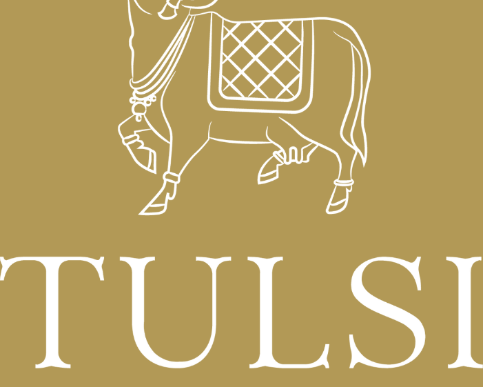 tussar-silk-sarees-with-best-texture