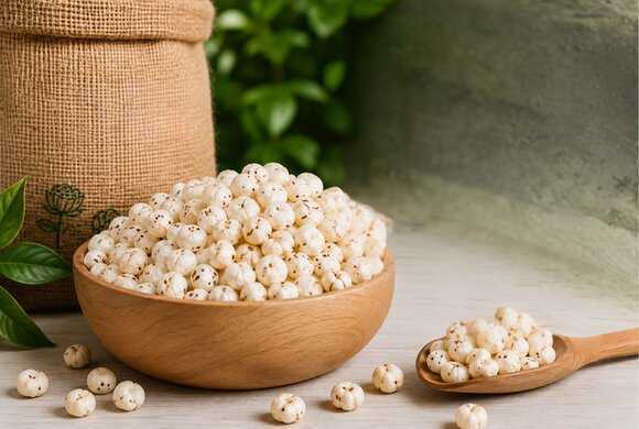 trusted-makhana-exporter-in-india-for-premium-bulk-supply-big-0