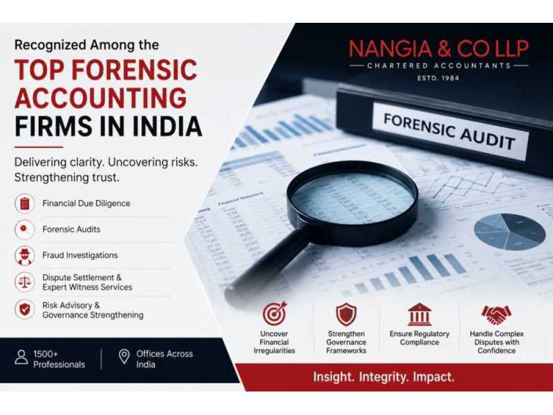 top-forensic-accounting-firms-in-india-small-0
