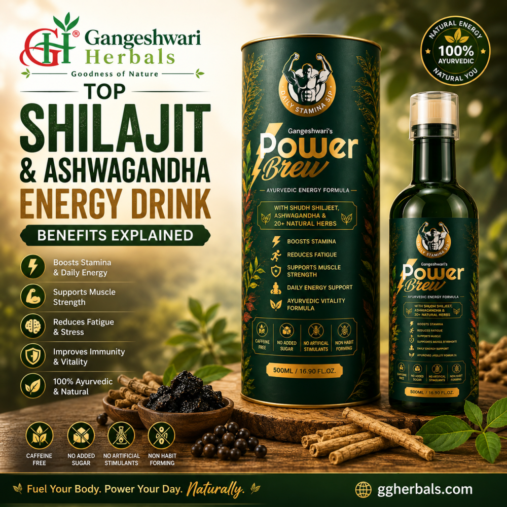 top-shilajit-and-ashwagandha-energy-drink-benefits-explained-big-0