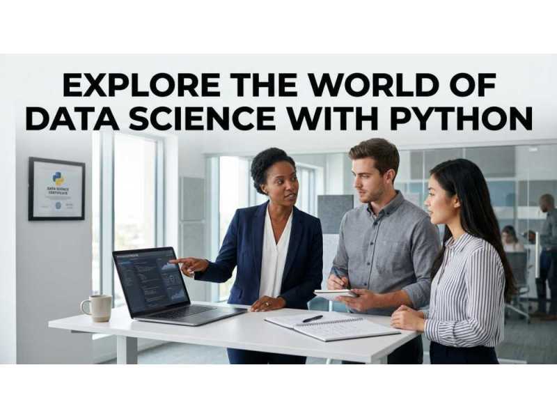 explore-the-world-of-data-science-with-python-small-0
