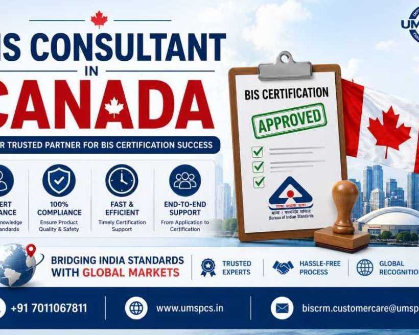 where-to-hire-a-bis-consultant-in-canada