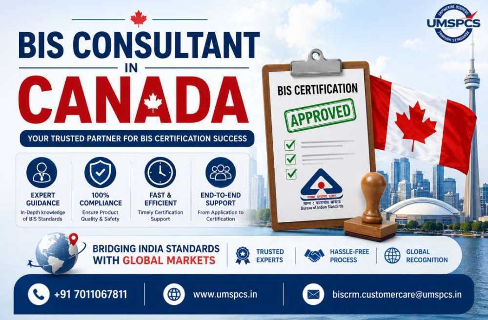 where-to-hire-a-bis-consultant-in-canada-big-0
