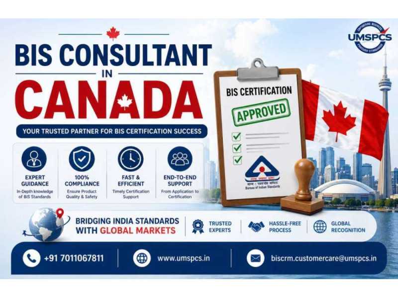where-to-hire-a-bis-consultant-in-canada-small-0