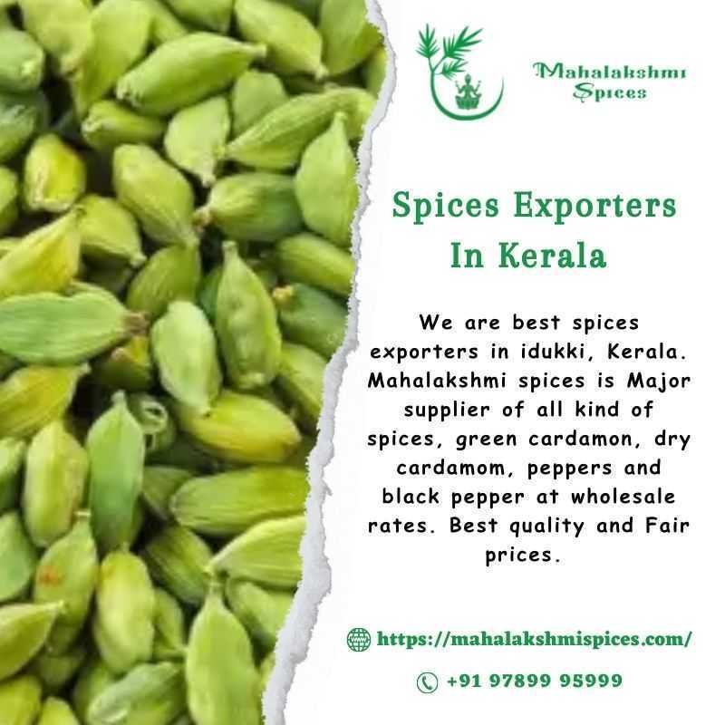 spices-exporters-in-idukki-kerala-buy-spices-online-big-0