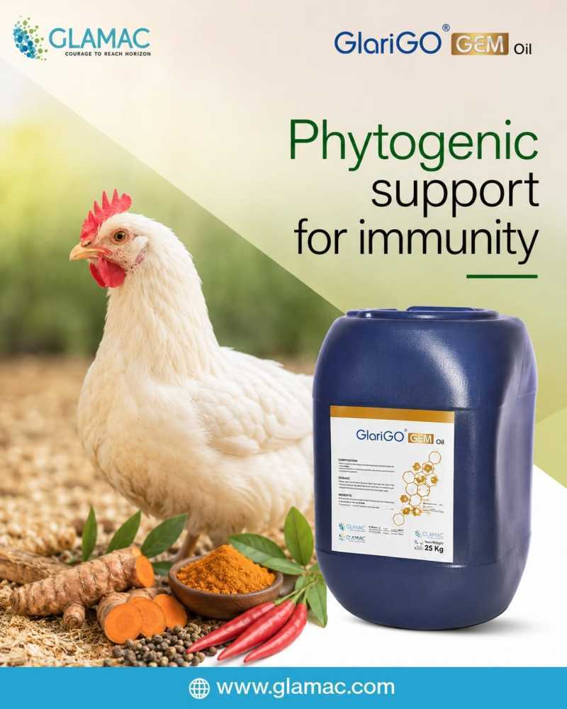 improving-gut-health-in-poultry-with-natural-phytogenic-feed-additives-big-0