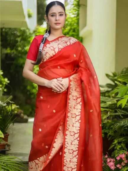 orange-pure-kora-silk-handloom-banarasi-saree-big-0