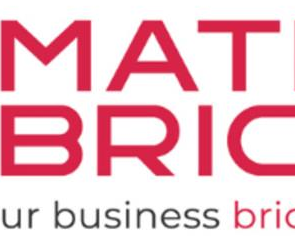 best-link-building-service-for-higher-rankings-matrix-bricks-usa