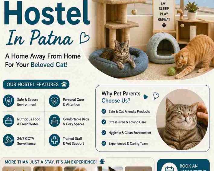 cat-hostel-in-patna